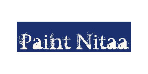 paintnita logo